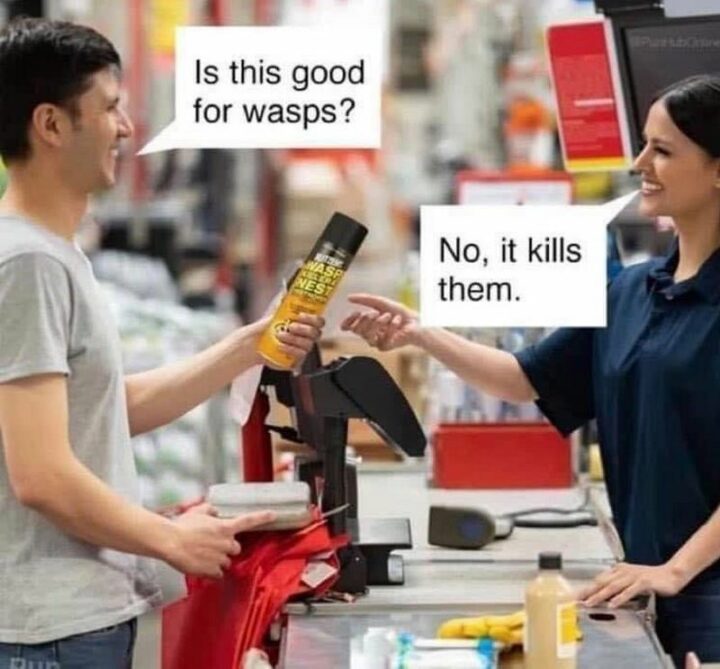 "Is this good for wasps? No, it kills them."