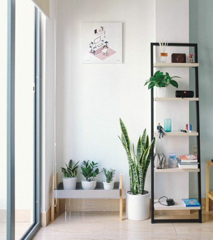 Add plants.