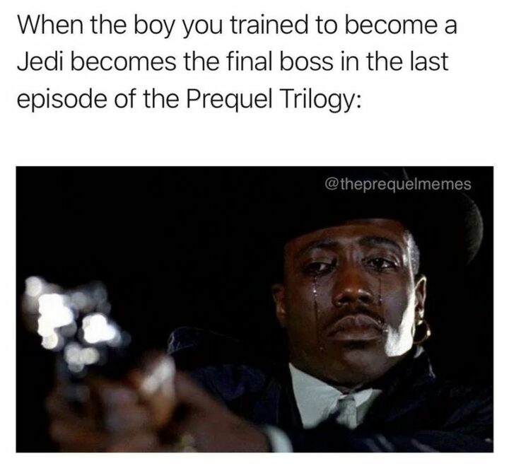 47 Star Wars Prequel Memes - "When the boy you trained to become a Jedi becomes the final boss in the last episode of the prequel trilogy:"