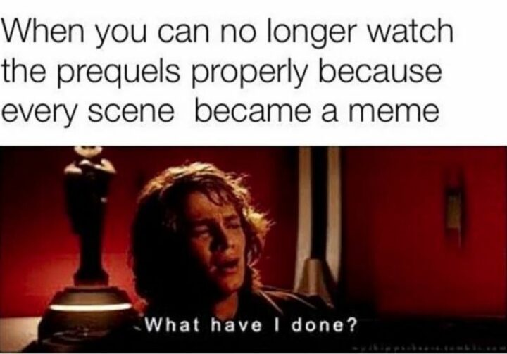 47 Star Wars Prequel Memes - "When you can no longer watch the prequels properly because every scene became a meme: What have I done?"