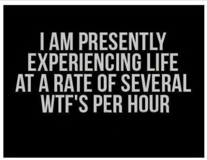 69 Funny Work Stress Memes - "I am presently experiencing life at a rate of several WTFs per hour."