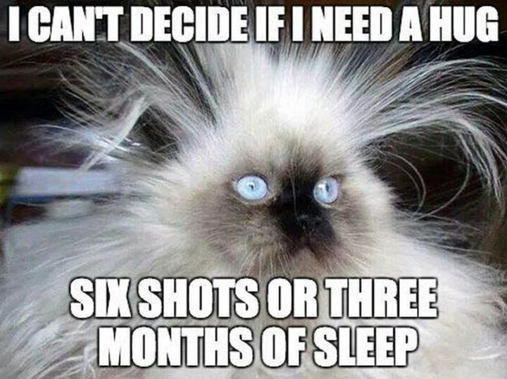 69 Funny Work Stress Memes - "I can't decide if I need a hug, six shots, or three months of sleep."