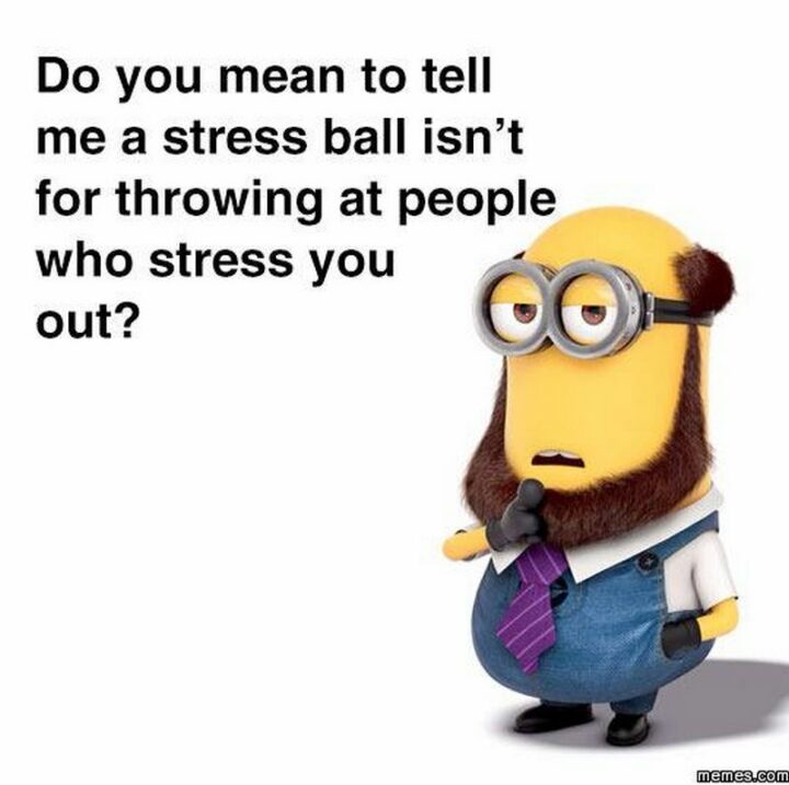 69 Funny Work Stress Memes - "Do you mean to tell me a stress ball isn't for throwing at people who stress you out?"