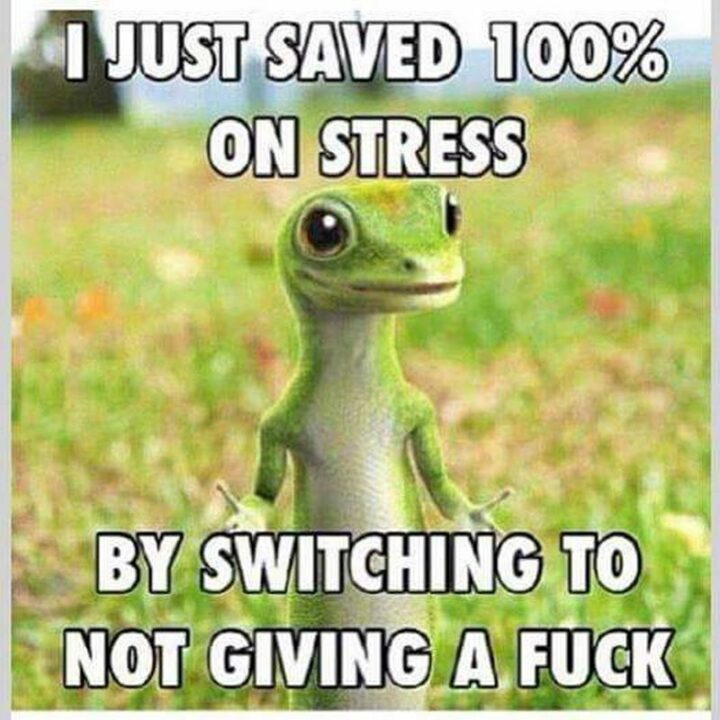 "I just saved 100% on stress by switching to not giving a [censored]."