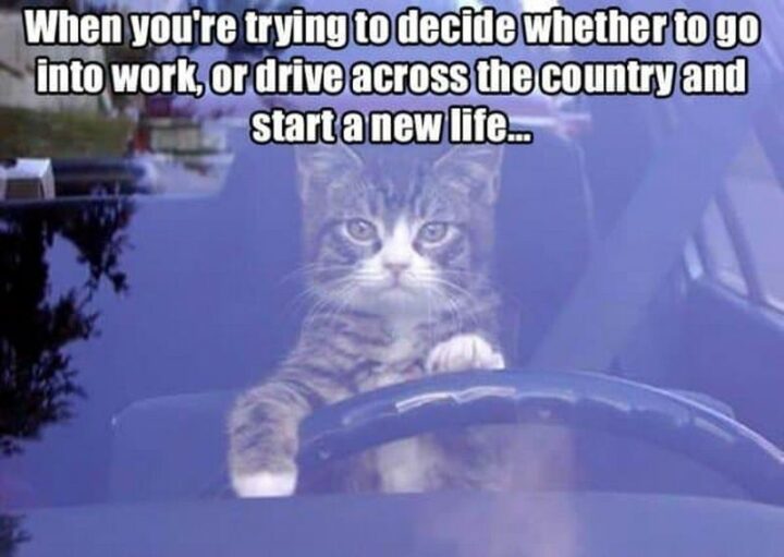 "When you're trying to decide whether to go into work or drive across the country and start a new life..."