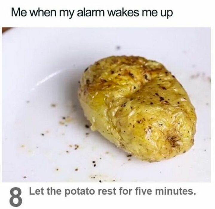 65 Funny Student Memes - "Me when my alarm wakes me up: Let the potato rest for five minutes."