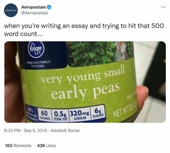 65 Funny Student Memes - "When you're writing an essay and trying to hit that 500-word count...Very young small early peas."