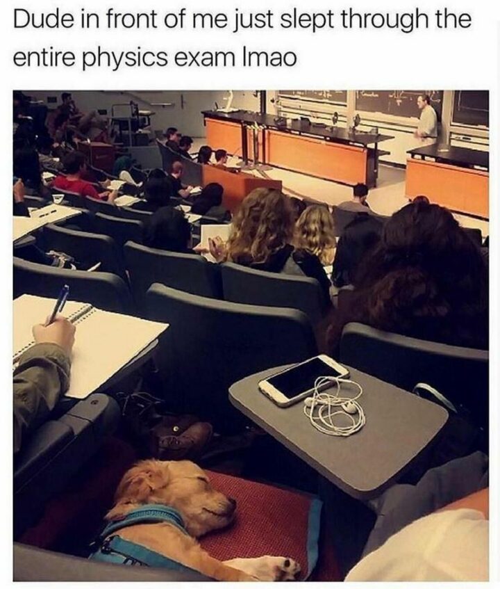 65 Funny Student Memes - "Dude in front of me just slept through the entire physics exam lmao."