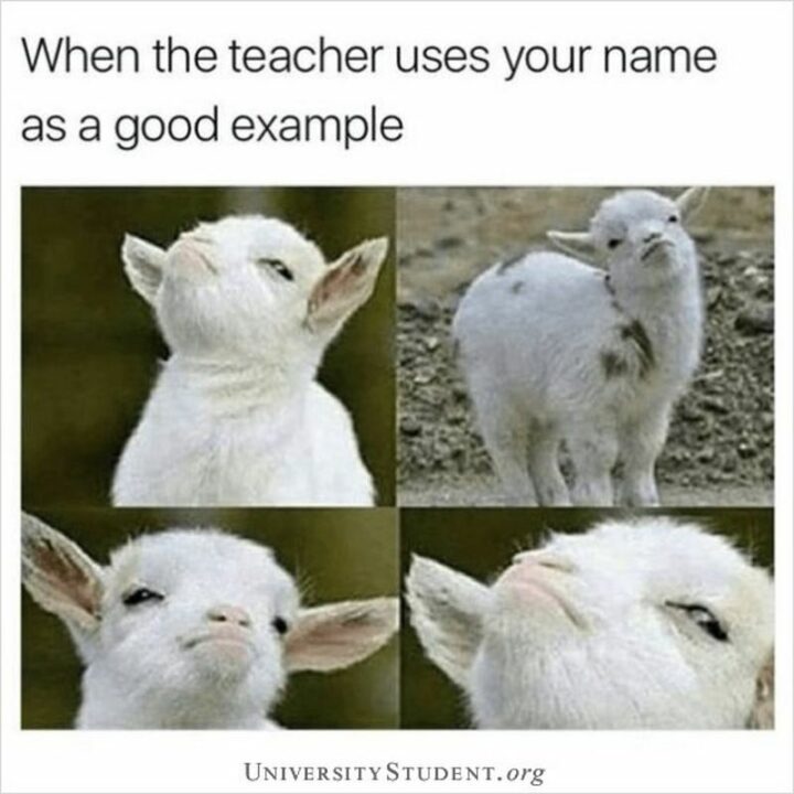 "When the teacher uses your name as a good example."