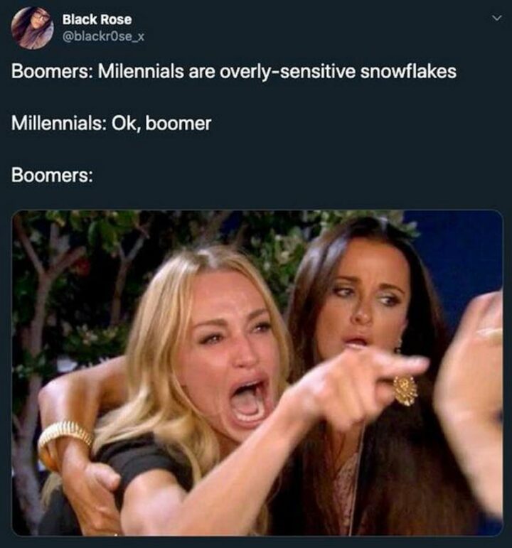 "Boomers: Millennials are overly-sensitive snowflakes. Millennials: Ok, boomer. Boomers:"