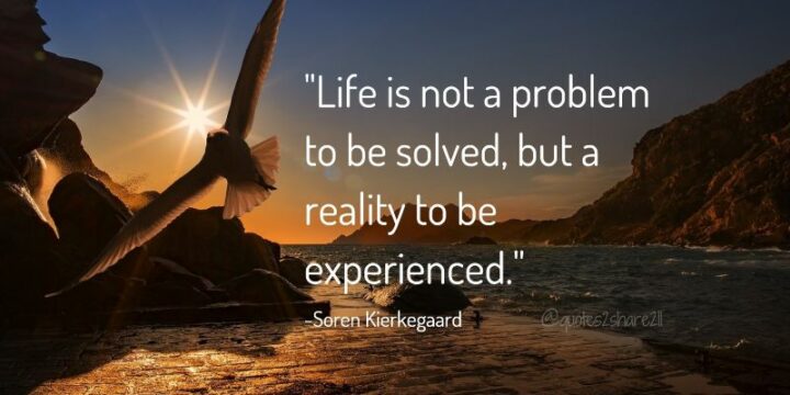 "Life is not a problem to be solved, but a reality to be experienced." - Soren Kierkegaard