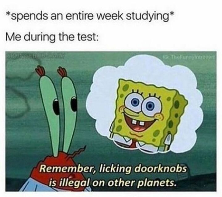 "*spends an entire week studying* Me during the test: Remember, licking doorknobs is illegal on other planets."