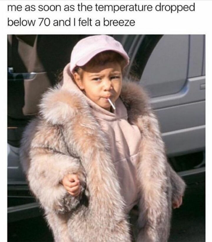 41 Fashion Memes - "Me as soon as the temperature dropped below 70 and I felt a breeze."
