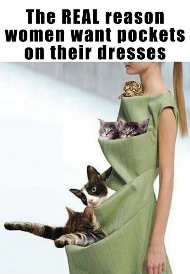 "The real reason women want pockets on their dresses."