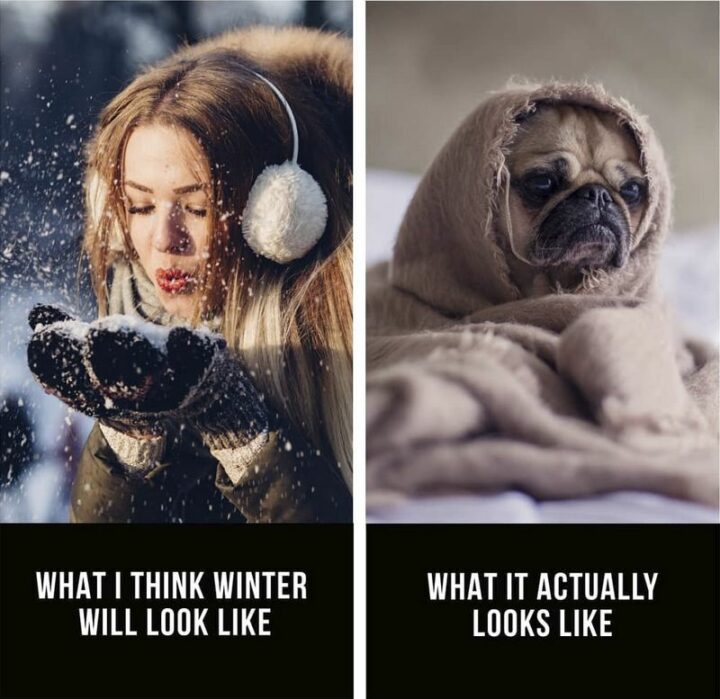 "What I think winter will look like. What it actually looks like."