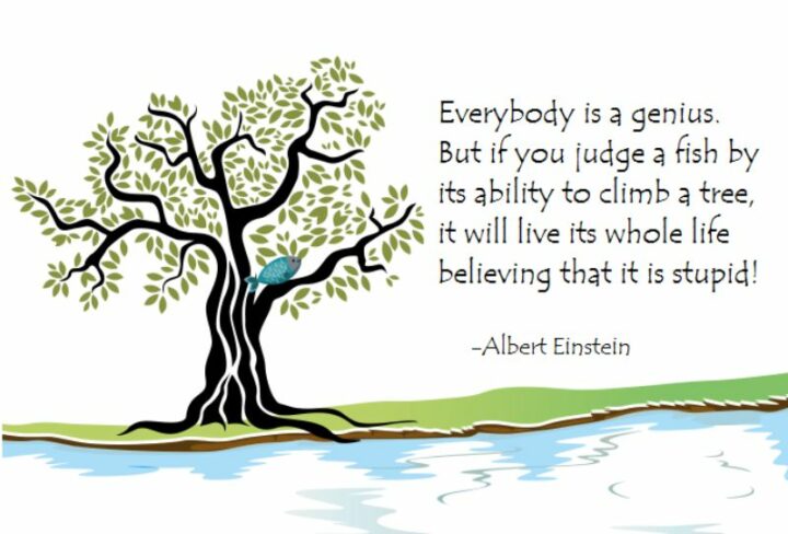 "Everybody is a genius. But if you judge a fish by its ability to climb a tree, it will live its whole life believing that it is stupid." - Albert Einstein