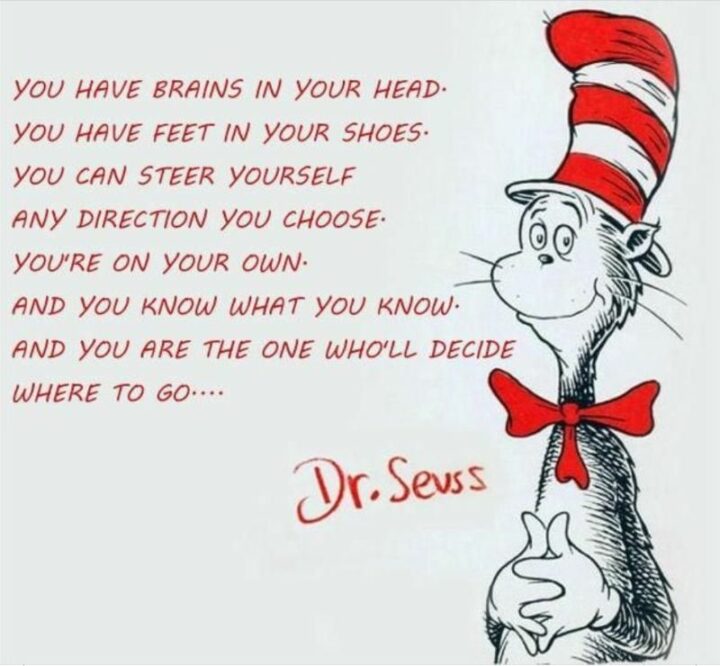 "You have brains in your head. You have feet in your shoes. You can steer yourself any direction you choose. You're on your own and you know what you know and you are the one who'll decide where to go." - Dr. Seuss