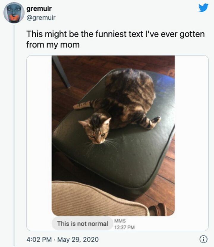 "This might be the funniest text I've ever gotten from my mom: This is not normal."