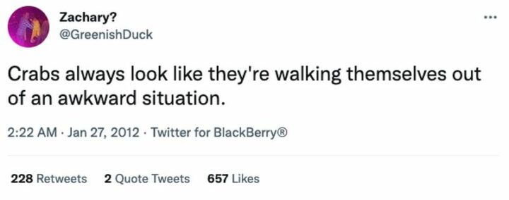 29 Funny Twitter Quotes - "Crabs always look like they're walking themselves out of an awkward situation."