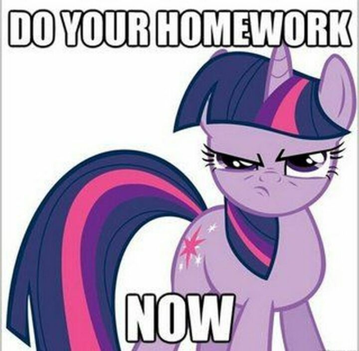 "Do your homework now."