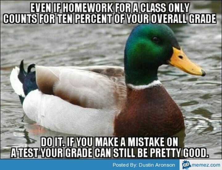 "Even if homework for a class only counts for ten percent of your overall grade, do it. If you make a mistake on a test your grade can still be pretty good."