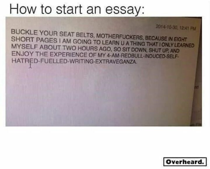 "How to start an essay: Buckle your seat belts, [censored], because in eight short pages I am going to learn u a thing that I only learned myself about two hours ago, so sit down, shut up, and enjoy the experience of my 4-am-RedBull-induced-self-hatred-fuelled-writing-extravaganza.