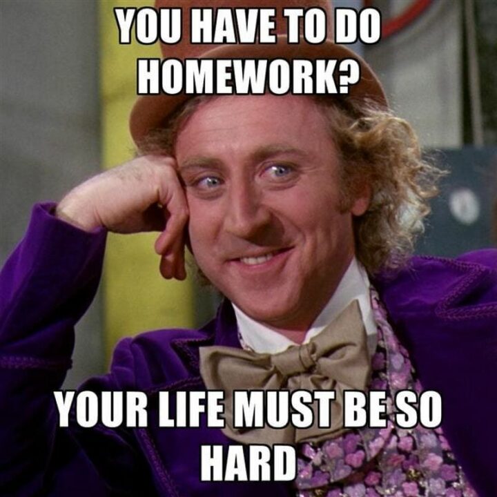 "You have to do homework? Your life must be so hard."