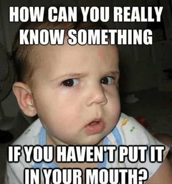 35 Funny Kids Memes - "How can you really know something if you haven't put it in your mouth?"
