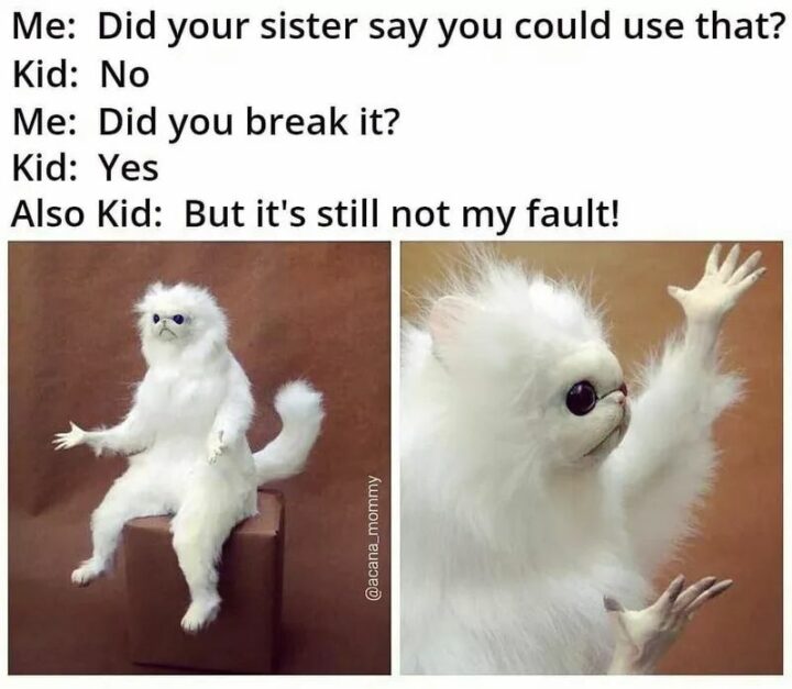 "Me: Did your sister say you could use that? Kid: No. Me: Did you break it? Kid: Yes. Also kid: But it's still not my fault!"