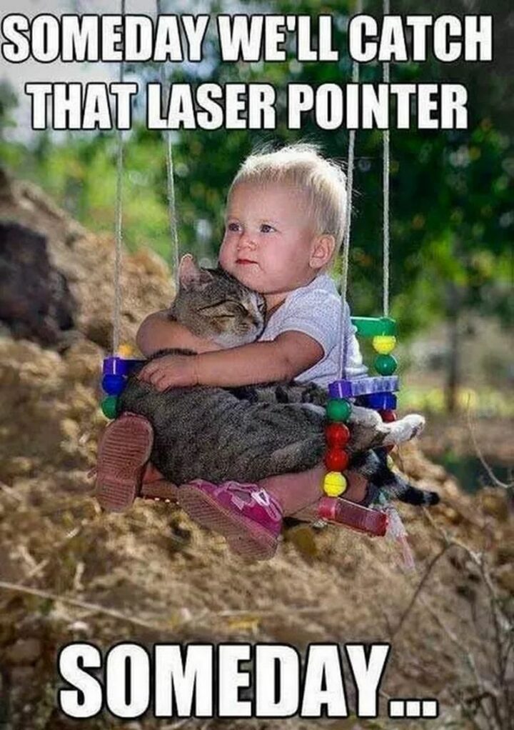 "Someday we'll catch that laser pointer. Someday..."