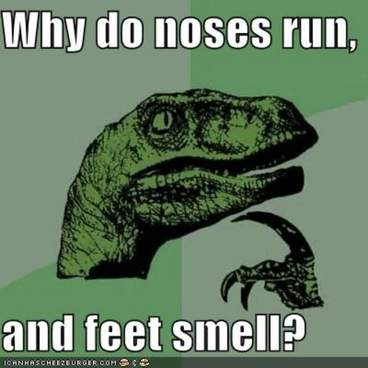 "Why do noses run and feet smell."