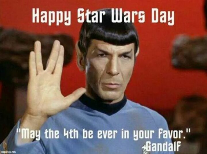 35 May the Fourth Memes - "Happy Star Wars Day. May the 4th be ever in your favor."