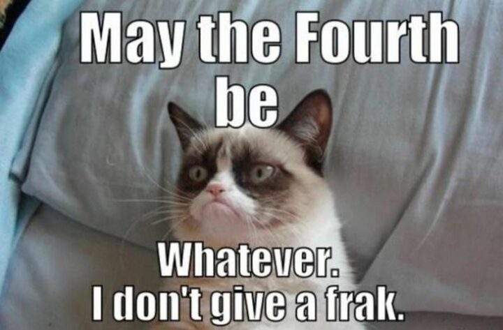 "May the Fourth be whatever. I don't give a frak."