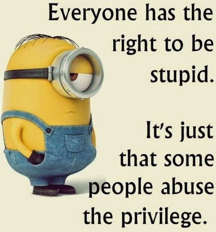 49 Minion Quotes - "Everyone has the right to be stupid. It's just that some people abuse the privilege."