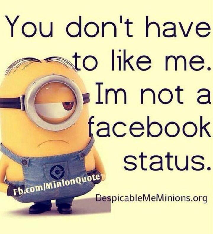 "You don't have to like me. I'm not a Facebook status."