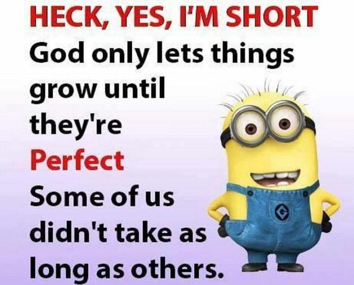 "Heck, yes, I'm short. God only lets things grow until they're perfect. Some of us didn't take as long as others."