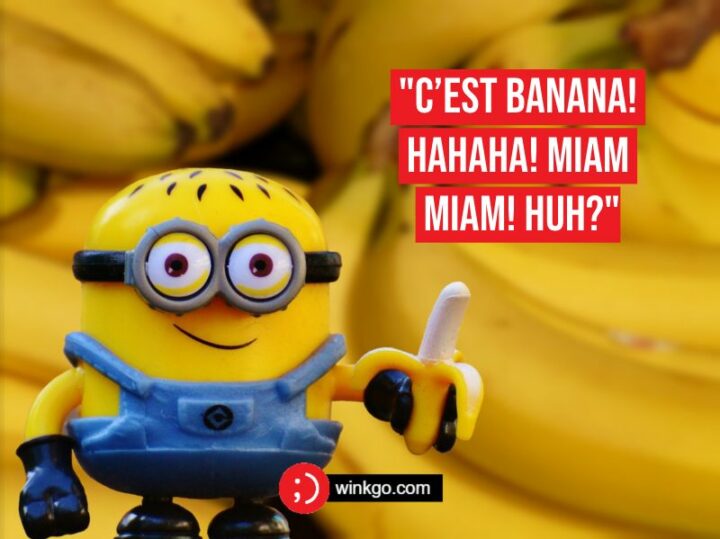 49 Minion Quotes - "C’est banana! Hahaha! Miam Miam! Huh?" - Minions