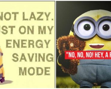 49 Minion Quotes and Funny Images