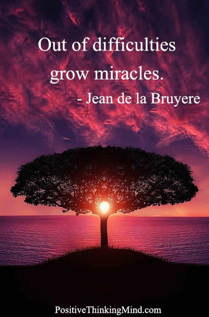 "Out of difficulties grow miracles." - Jean de La Bruyère