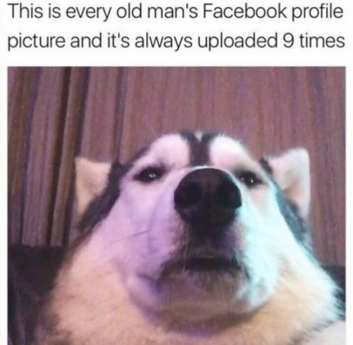 "This is every old man's Facebook profile picture and it's always uploaded 9 times."