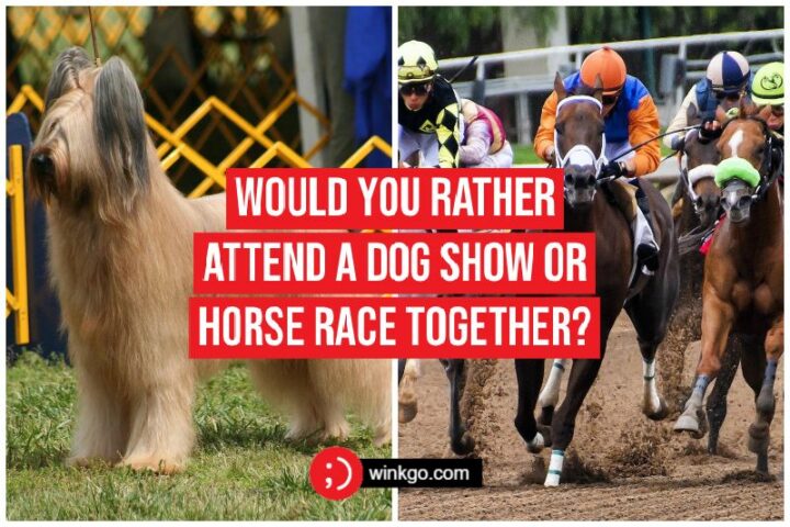 69 Would You Rather Questions for Couples - Would you rather attend a dog show or horse race together?