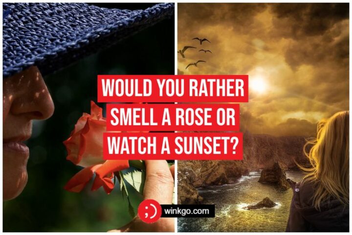 Would you rather smell a rose or watch a sunset?