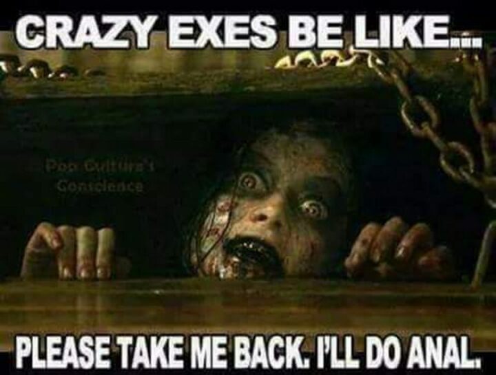 41 Funny Rude Memes - "Crazy exes be like...Please take me back. I'll do [censored]."