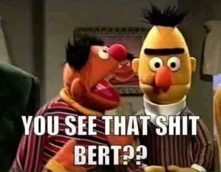 "You see that [censored] Bert??"