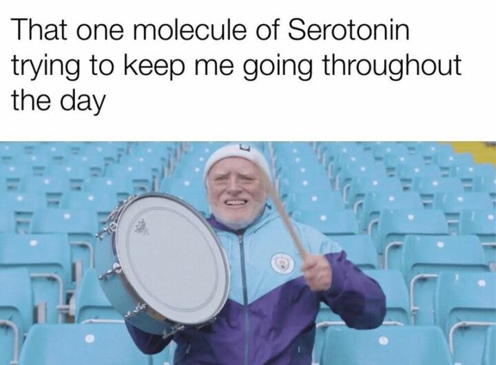 "That one molecule of serotonin trying to keep me going throughout the day."