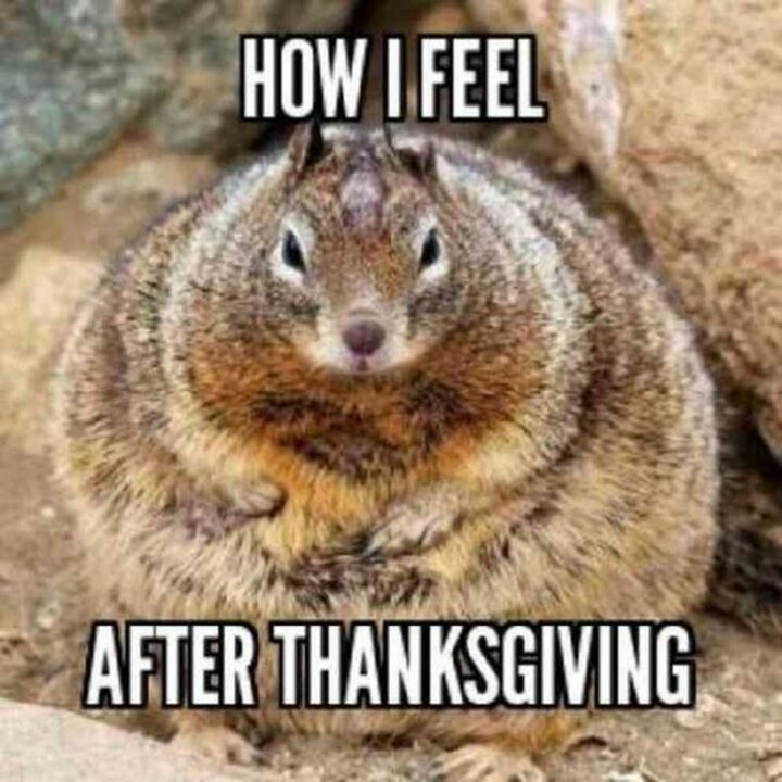 "How I feel after Thanksgiving."