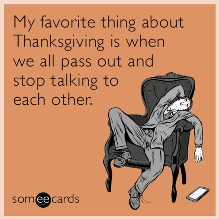 "My favorite thing about Thanksgiving is when we all pass out and stop talking to each other."