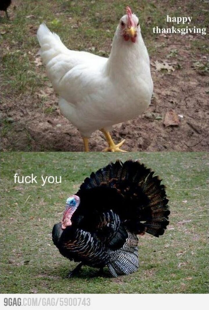 "Happy Thanksgiving. [censored] you."