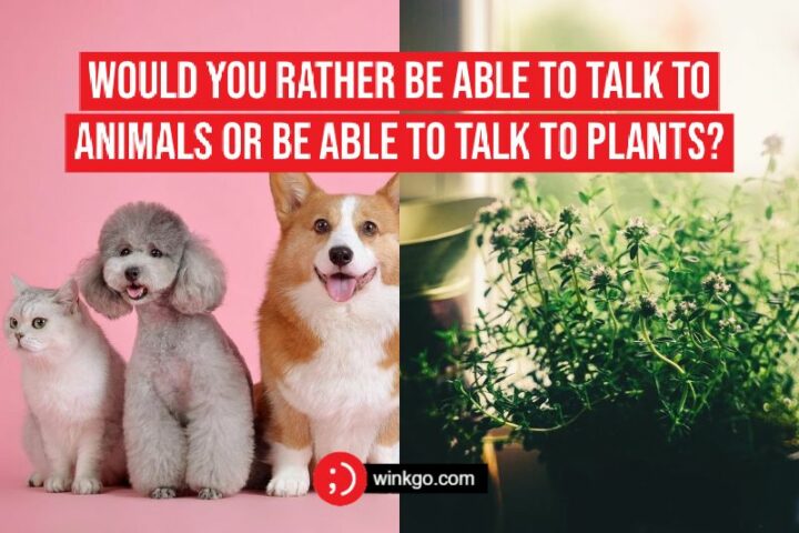 Would you rather be able to talk to animals or be able to talk to plants?