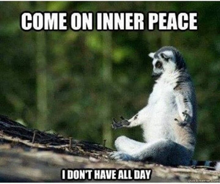 "Come on inner peace. I don't have all day."